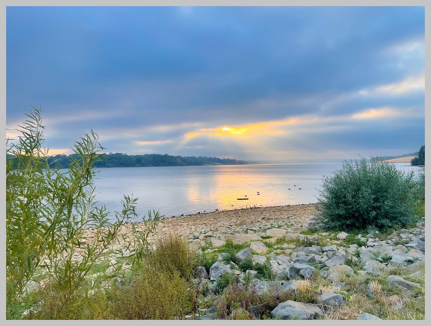 A day at Rutland Water 