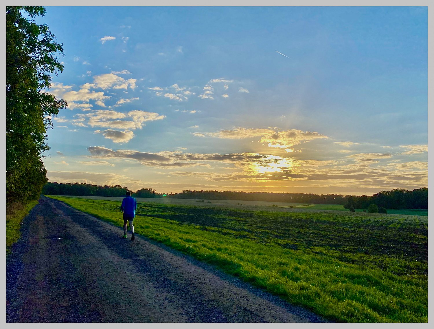 An Evening run in Exton Park 