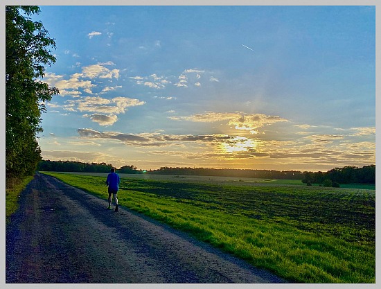 A run in Exton Park